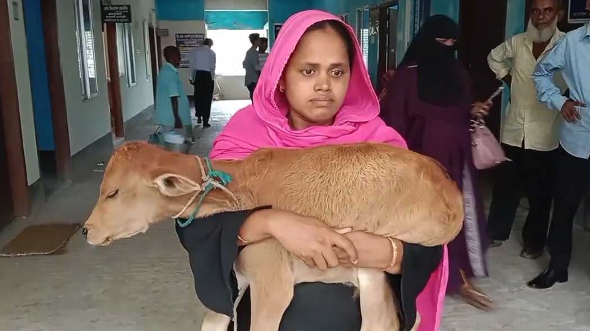 স্বামীর দেনায় গরু নিয়ে গেছেন পাওনাদার,বাছুর কোলে আদালত প্রাঙ্গনে স্ত্রী